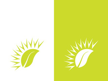 Sun vector illustration icon logo template design