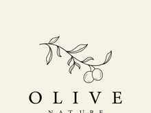 Hand drawn Botanical logo,leaf and natural olive fruit .Herbal, olive oil,cosmetic or beauty.