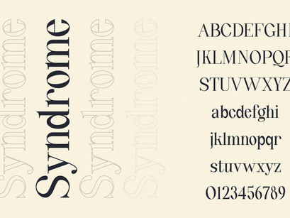Quinty a Luxury Serif Font Family