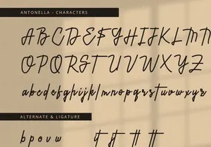 Antonella - Handwritten Font