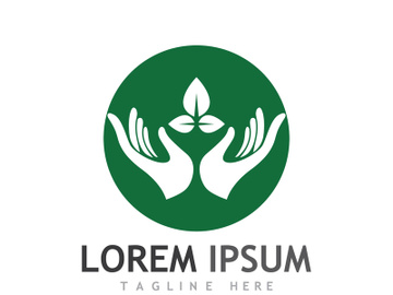Natural green leaf logo design. preview picture