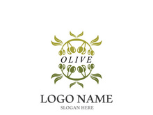 olive icon vector illustration design template
