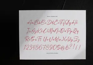 Boudica Perfect | Handwritten Script