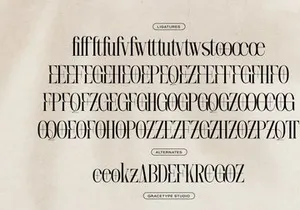 Lequano | New Display Serif