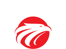 Eagle Logo Vector  Creative eagle icon Template illustration