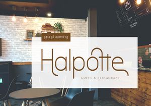 Trellacotte Modern Sans Serif Fonts