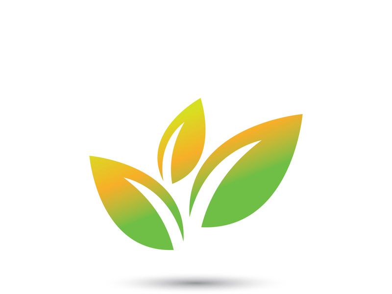 Logos of green tree leaf ecology nature element vector