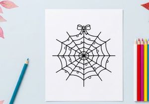 Hand-drawn black and white spider web with decorative bow. Minimalist line art web illustration for Halloween or nature-themed designs.