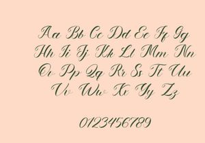 NCL LETS WENDY - Romantic Elegant Script