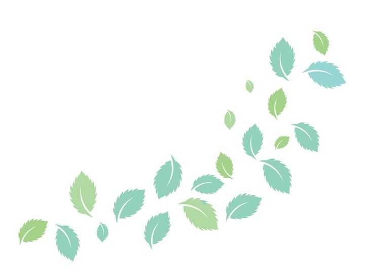 Mint Leaf icon template  illustration