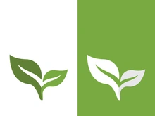 Green tree leaf nature logo images illustration design