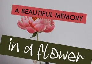 ADHAESS – Modern Casual Handwritten Font (OTF)