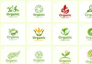 50 Organic Logo Bundle