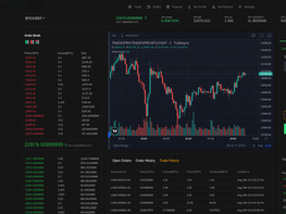 ProTrade Exchange v1.0 - Crypto Buy Sell and Trading platform, ERC20 and BEP20 Tokens Supported v1.0 preview picture