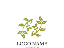 olive icon vector illustration design template