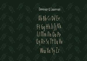 Decaf Font