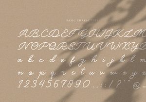 Belly Shine | Handwritten Script Font