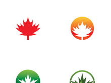 Maple leaf logo design with creative idea