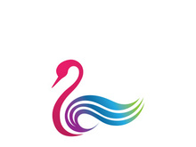 Swan logo Premium and symbol Vector