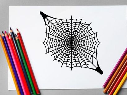 Close-up of a Spider Web with Dew Drops in Morning Light