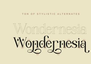 Wondernesia Nostalgic & Modern Serif