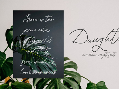 Daughter - A Monoline Classy Font Script