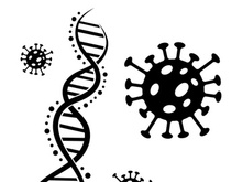 Coronavirus covid-19 prohibition sign flat vector