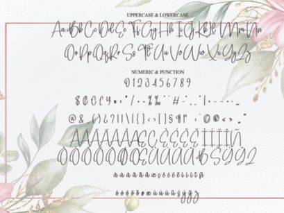 Background Signature Font