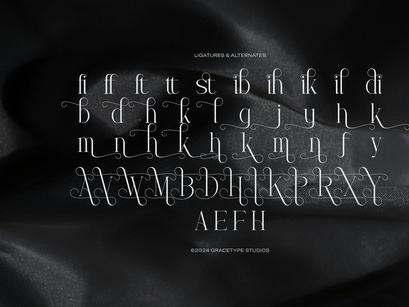 Trailogen | Display Serif Font