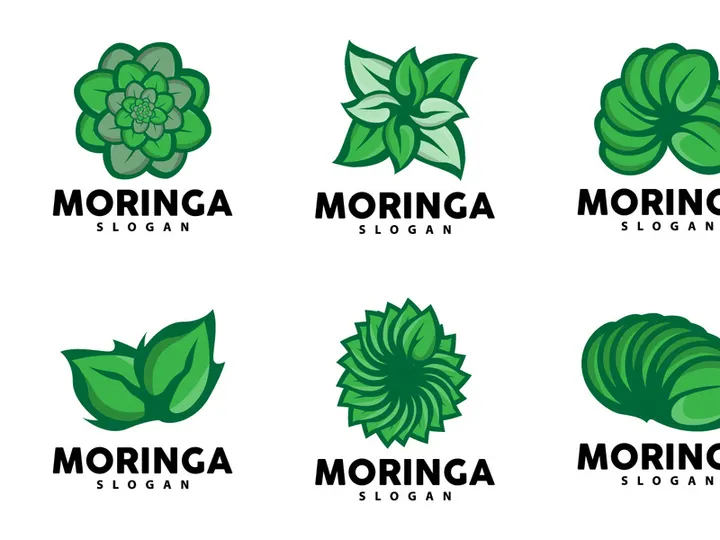 Leaf Logo, Eco Green Plant Vector, Green Earth