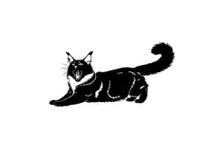 Black cat silhouette in a relaxed pose with tail curled up