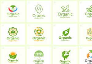 50 Organic Logo Bundle