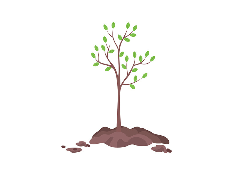 Planting tree in spring semi flat color vector object