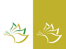 Butterfly logo icon vector design illustration