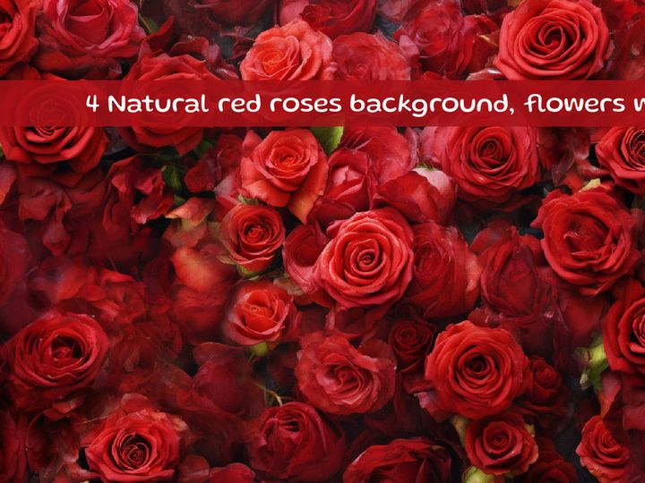 Natural red roses background, flowers wall
