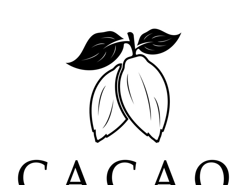 cocoa logo,cocoa bean,cocoa tree,cocoa branches and leaves,chocolate mix on white background,vintage,modern,simple,minimalist icon illustration template design vector