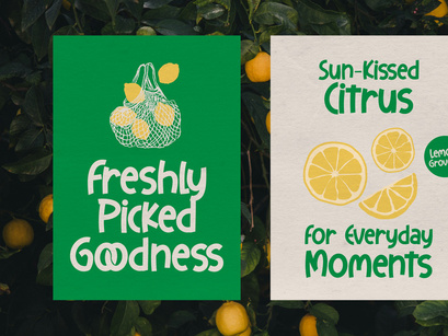 Comfy Quacky | Display Hand Drawn