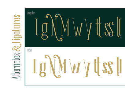 The Lingke – Stylish Modern Serif Font