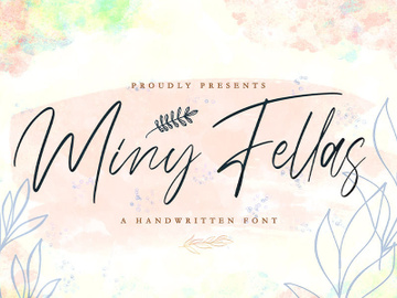 Miny Fellas - Modern Handwritten Font preview picture