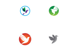 Creative colorful bird logo design.