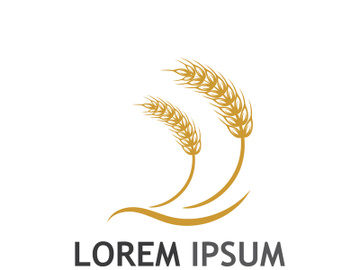 Organic wheat farm logo template. preview picture