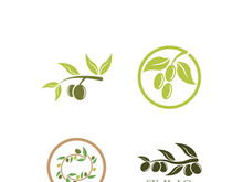 Extra virgin olive oil logo icon design vector illustration