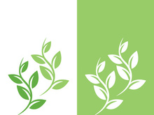 Logos of green tree leaf ecology nature element vector