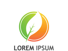 Natural green leaf logo design.