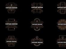 Retro Vintage Design, Luxurious Minimalist Vector Ornament Logo