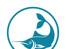 Fish logo template. Creative vector symbol