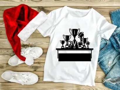 Collection of trophies and medals on a shelf display