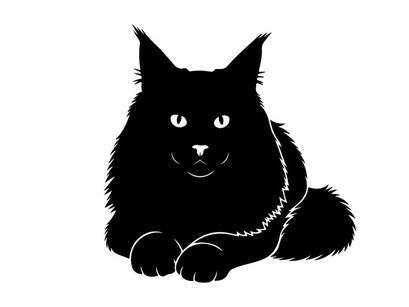 Silhouette of a black cat with a collar lying down