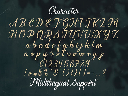 Regalhisa - Calligraphy Script Font