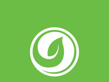 Leaf logo green nature vector image